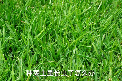 殺蟲雙可以配什么農(nóng)藥,土壞殺蟲用什么農(nóng)藥好