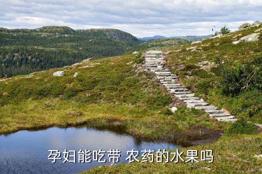 孕婦能吃帶 農(nóng)藥的水果嗎