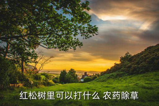 紅松樹里可以打什么 農藥除草
