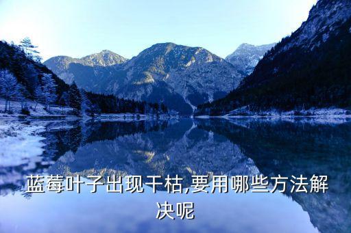  藍莓葉子出現干枯,要用哪些方法解決呢