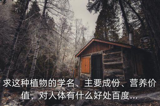 求這種植物的學名、主要成份、營養價值、對人體有什么好處百度...