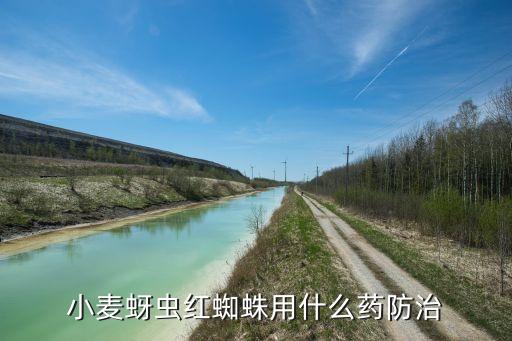 芽蟲要用什么農(nóng)藥,菜蟲用什么農(nóng)藥殺比較好?