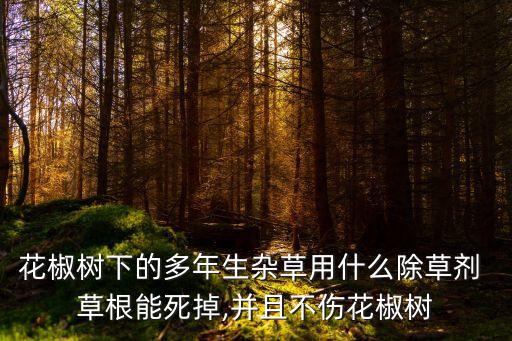 花椒樹(shù)下的多年生雜草用什么除草劑 草根能死掉,并且不傷花椒樹(shù)