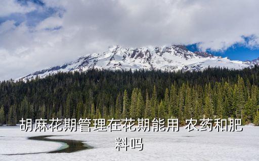  胡麻花期管理在花期能用 農藥和肥料嗎