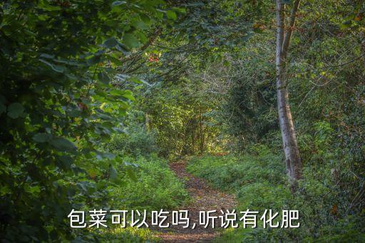  包菜可以吃嗎,聽說有化肥
