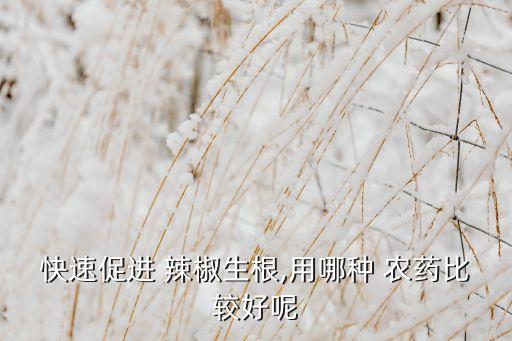 打什么農藥膨大辣椒,辣椒膨大拉長農藥配方