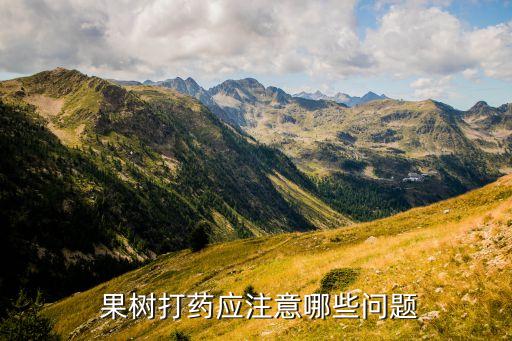 農(nóng)藥光太冶果樹什么病
