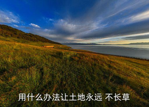 什么農藥打后不長草,打農藥一般什么時間打比較好