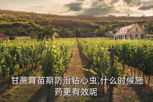 甘蔗幼苗用什么農藥消毒