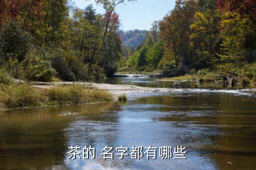 農藥帶茶的名字是什么,農藥是什么游戲名字