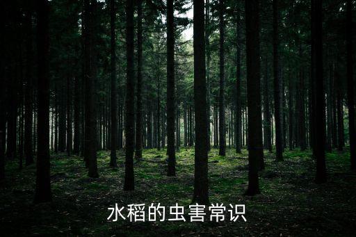 稻樅卷葉蟲用什么農藥殺滅