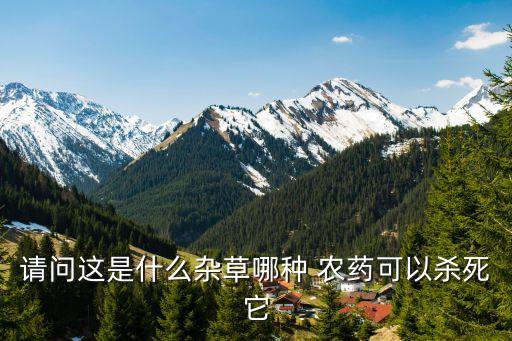 雙草醚農(nóng)藥有什么作用