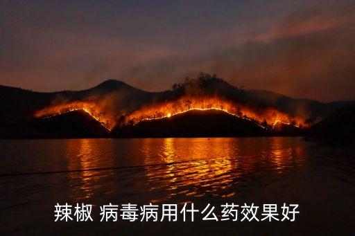 什么農(nóng)藥防治病毒病最好,病毒病哪種農(nóng)藥最好191