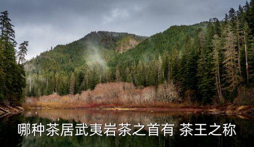 農(nóng)藥茶王有什么功效,什么茶最容易農(nóng)藥超標(biāo)