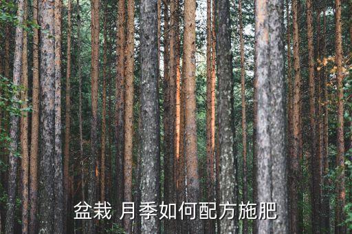 盆栽 月季如何配方施肥