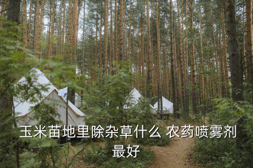  玉米苗地里除雜草什么 農(nóng)藥噴霧劑最好