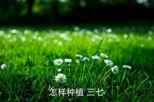 怎樣種植 三七