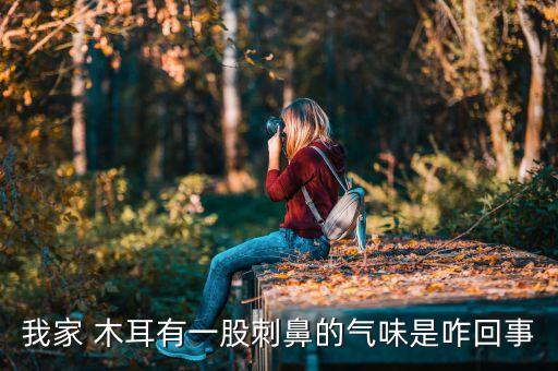 木耳為什么會發出農藥味