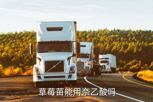 草莓天天打農藥打的是什么?,草莓苗忌諱的農藥是什么