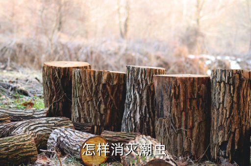 鼠婦蟲(chóng)用什么農(nóng)藥打