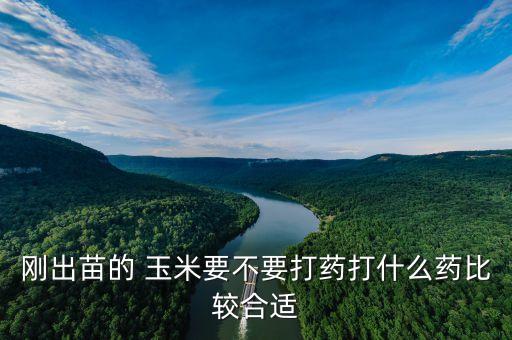 什么農藥能殺死玉米苗,種玉米用什么農藥打最好