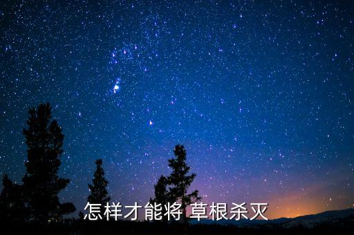 什么農(nóng)藥能大量殺死蒼蠅,有什么農(nóng)藥可以殺死草根