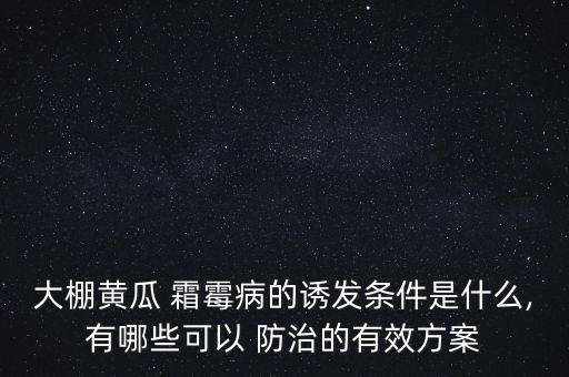 大棚黃瓜 霜霉病的誘發條件是什么,有哪些可以 防治的有效方案