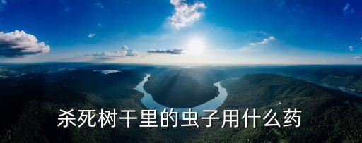 殺死樹干里的蟲子用什么藥