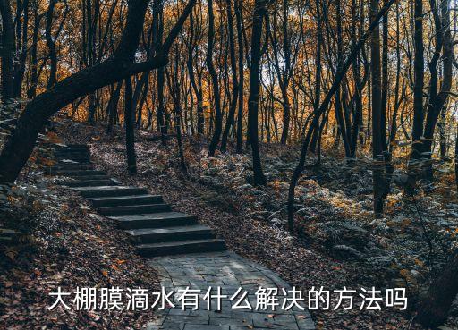 大棚膜滴水有什么解決的方法嗎