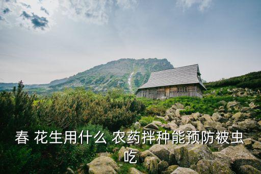 春 花生用什么 農藥拌種能預防被蟲吃