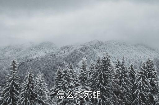 怎么殺死蛆