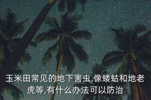 玉米田常見的地下害蟲,像螻蛄和地老虎等,有什么辦法可以防治