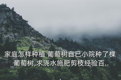 家庭怎樣種植 葡萄樹自己小院種了棵 葡萄樹,求澆水施肥剪枝經驗百...