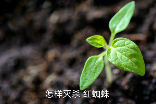 什么農藥可殺死紅蜘蛛幼蟲,紅蜘蛛用什么農藥效果好