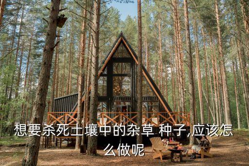 想要殺死土壤中的雜草 種子,應該怎么做呢