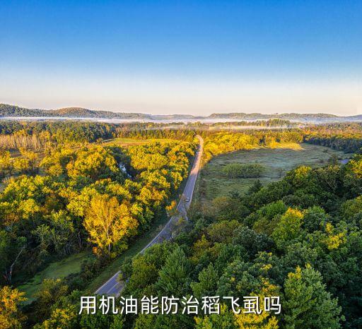 樸虱靈農藥殺什么蟲