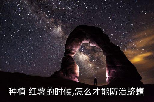 紅薯什么農藥殺蟲最好,紅薯地里用什么殺蟲