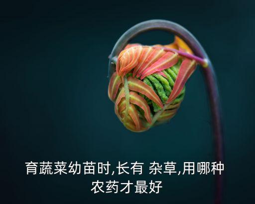 什么農(nóng)藥殺雜草效果最好,頑固雜草用什么農(nóng)藥