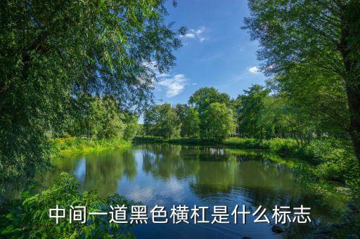 中間一道黑色橫杠是什么標志
