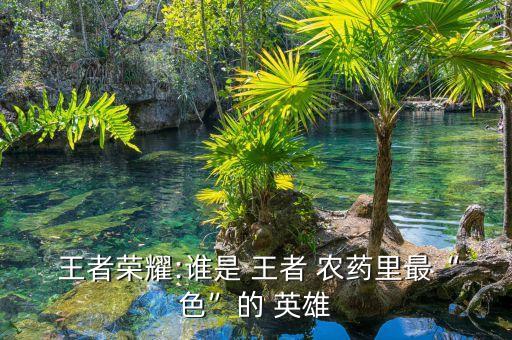  王者榮耀:誰是 王者 農藥里最“色”的 英雄