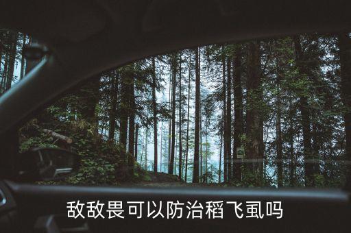 稆飛虱用什么農(nóng)藥殺死,白飛虱用什么殺死