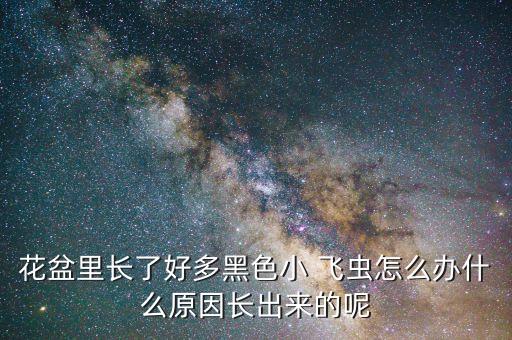 花盆里長了好多黑色小 飛蟲怎么辦什么原因長出來的呢