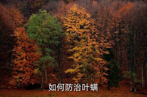 茄子黃螨蟲打什么農藥?