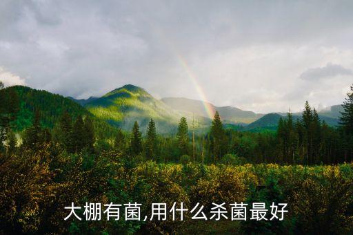 大棚有菌,用什么殺菌最好