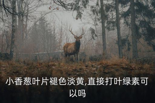 小香蔥葉片褪色淡黃,直接打葉綠素可以嗎