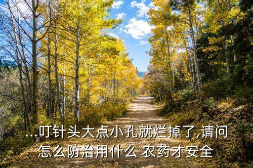 ...叮針頭大點小孔就爛掉了,請問怎么防治用什么 農(nóng)藥才安全