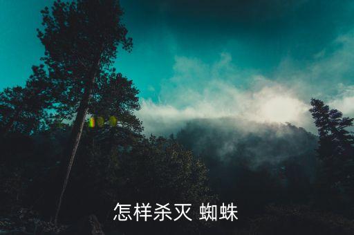 什么農藥能大量殺死蒼蠅,蜘蛛用什么農藥殺死快