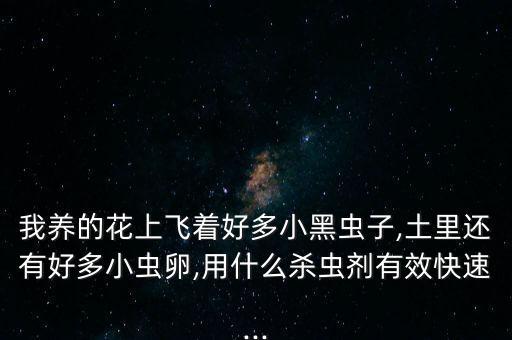 我養的花上飛著好多小黑蟲子,土里還有好多小蟲卵,用什么殺蟲劑有效快速...