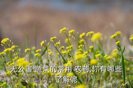 無公害 蔬菜的常用 農藥,你有哪些了解呢