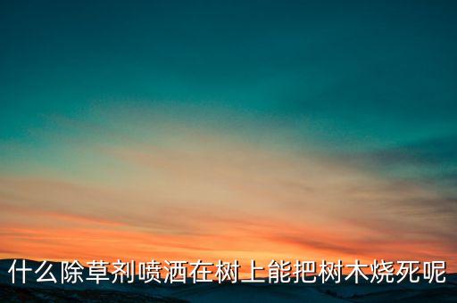 什么除草劑噴灑在樹上能把樹木燒死呢